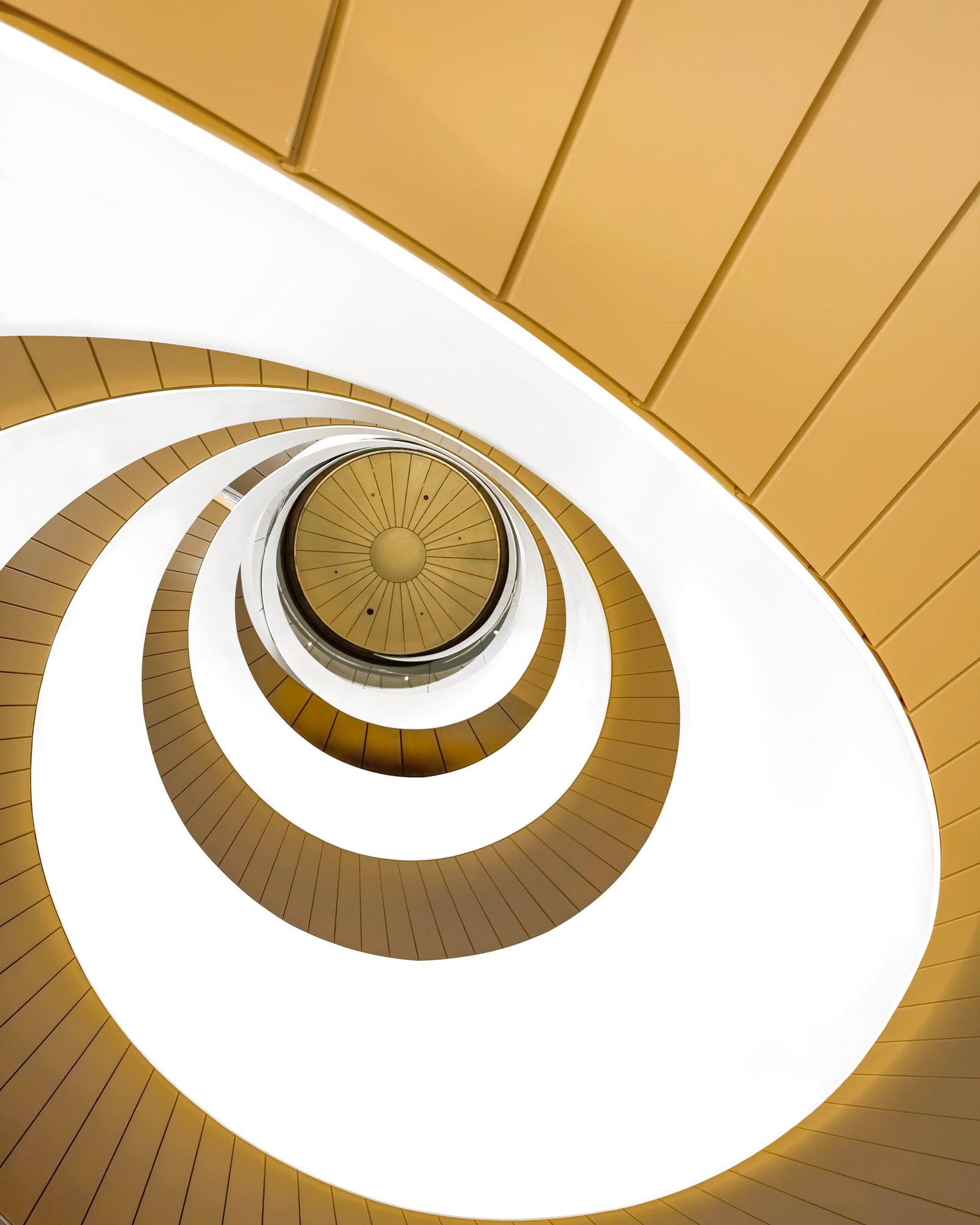 Helix I — Alessio D'Addato